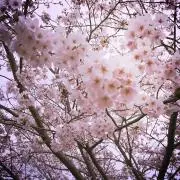 ☆プロフ必読お願い致します☆あーちゃんの画像