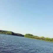 GD