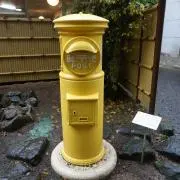 たぬきの画像