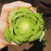豌豆の画像