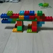 シトラスの画像