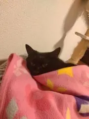naoの画像