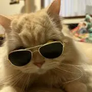 あっぱん