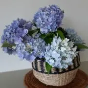 Y's home　※プロフ必読の画像