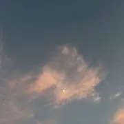 BATAKOの画像