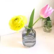 ⭐︎すみれ⭐︎の画像