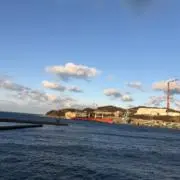 にょーいす