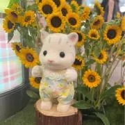 ほち