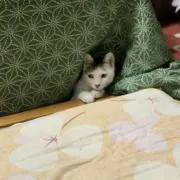 まみさきの画像
