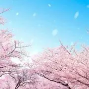 みぃー