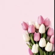 kananaプロフ必読の画像