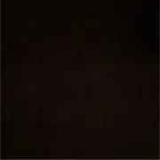 wtaps 加湿器 STADLER FORM 新品未使用 ダブルタップス - メルカリ