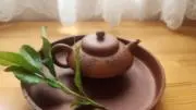 たまちゃんの画像
