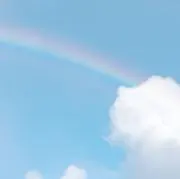 アルカの画像
