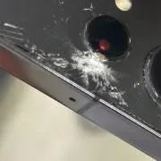 除籍処分の画像