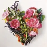 chocolaの画像
