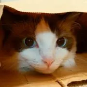 mikio★の画像