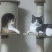 うに＊プロフ 一読願います