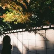 Llvvs16の画像