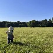 ななの画像