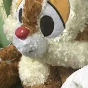 ボールの画像