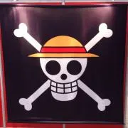 PORTGAS・D・ACE　プロフ参照の画像