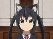 りくcatの画像
