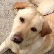 ちい★プロフ必読お願いします♪の画像