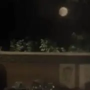 みみの画像