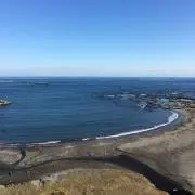 はなママの画像