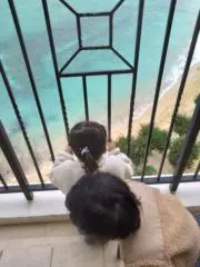 ののよし：〜旅行先でもガチャガチャ回す〜の画像