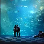 パンモモ