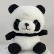 Panda38の画像