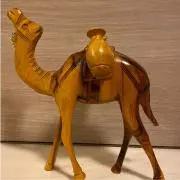 ラクダの画像