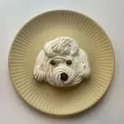 七夢の画像