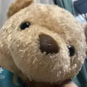 くまちゃん