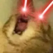 あるあるの画像