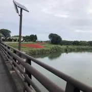 そらりお