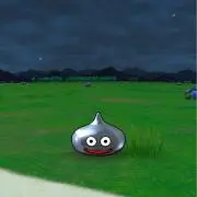 しぎの画像