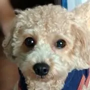 SEN-Mの画像
