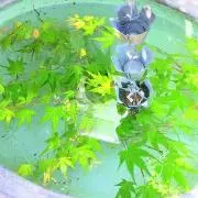 みいの画像