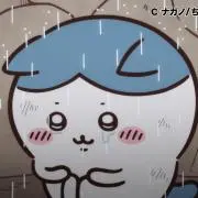Sの画像
