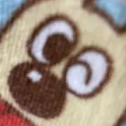 あやめの画像