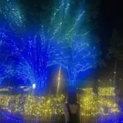 ⭐︎レイ⭐︎の画像