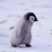 みぃ〜