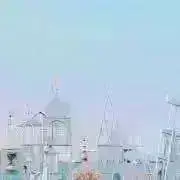 ハル＊プロフ必読＊の画像