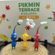たぬたぬの画像
