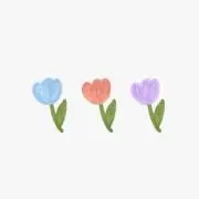 ˚꒰ aco ꒱˚お値段交渉◎の画像