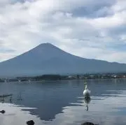 チッチの画像