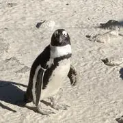 もとぴー※プロフ読んでくださいの画像